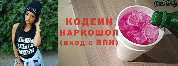 ГАЛЛЮЦИНОГЕННЫЕ ГРИБЫ Богданович